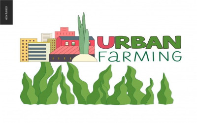URBAN FARMING SMPN 178 JAKARTA